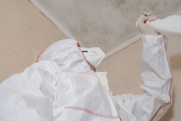 Best Residential Mold Removal  in Juneau, WI